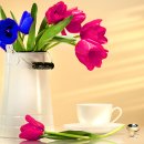 그린컴퓨터아트학원 이미지