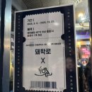 돼학로
