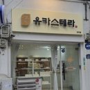 유카스테라 이미지