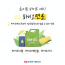 화이트환경