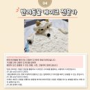 최수연펫푸드아카데미 네이버블로그