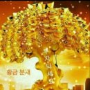 펫타운 이미지
