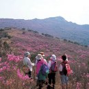 비슬산 이미지
