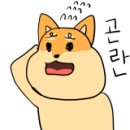 사천장 이미지