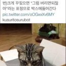 연성 이미지