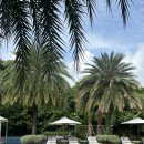 디엔세라믹 | Vietnam ㅣ호치민은 처음입니다만.. ep2.