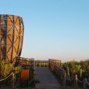 Harmony-ca 이미지