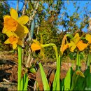 신흥2리(동백마을)농촌체험휴양마을 이미지