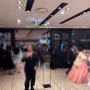 부산 웨딩홀 투어 후기 ㅣ 센텀사이언스파크 vs 팔레드시즈 비교 견적 총 정리ㅣ부산 스몰웨딩 (보증...