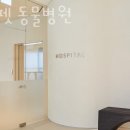 소노펫 동물병원 | 고양 장항동 동물병원 소노펫 동물병원 위치 오는길 후기