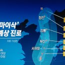 완도10호 이미지