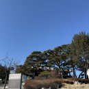 평화양로원 | 신의를 위해 어디까지 불신할 수 있을까? 연극 &lt;붉은 낙엽&gt; 후기/김강우/ 최정우