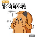 강아지 정보(마사지1/입냄새1) 26 이미지