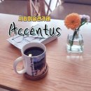 아첸투스(accentus) - 우동 | 아첸투스(accentus)