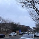 마로니에국밥 이미지