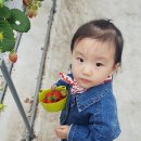 두상농장 이미지