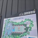 대양 | 구미 대구 근교 애견동반 대양야영장 장박 후기