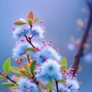 봄의노래 이미지