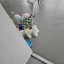 피개행개 이미지