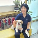 우진동물병원 이미지