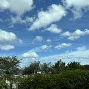 해동내과의원 이미지