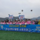 군민체육공원 인조4구장 이미지