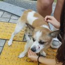 러브펫종합동물병원 이미지