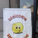 헤이!스콘(Hey!Scone)
