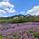 불암산나비정원 이미지