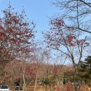 파주더시크릿 | 파주 캠핑장추천. 더시크릿 당일캠핑,불멍 후기