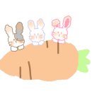 공화춘수타손짜장 이미지