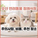 오산 반려동물 장례식장 방문 전 필독│오산 동물 장례 기준부터 비용, 후기, 추천 장소 안내까지