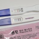 시흥 목감동 연세은혜산부인과 추천, 임신테스트기 두 줄 보고 병원가서 진료 및 피검사 후기