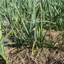 만산농장 이미지