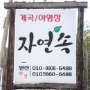 자연과우리펜션야영장 이미지