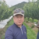 진도체리협동조합