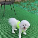 큐티살롱 이미지