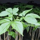 (주)우석생활건강 이미지