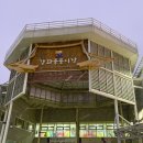 큰손낙지식당 | [인천] 강화도 가볼만한 곳 다양한 먹거리 오일장, 강화풍물시장