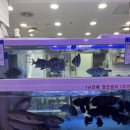 대삼학교앞 이미지