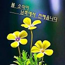 삼족 이미지