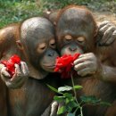 마이뷰티독 이마트 월계점 이미지