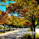 율하체육공원 테니스장 내 | 대구율하체육공원 단풍나들이~feat금호강변