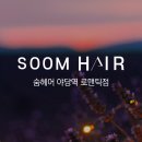 헤어1074