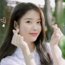 애니팡 - 동구 옥류3길 4-1 | 애니팡