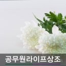하나라이프상조 이미지
