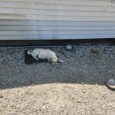 인수약품(주) 이미지