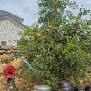 돌담집 | [공지] 아이랑 다녀온 곡성 '돌담집' 숙소 솔직 후기