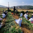 송악읍 행정지원센터 이미지