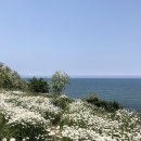 중앙제일신발 이미지